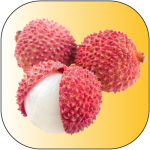 litchi