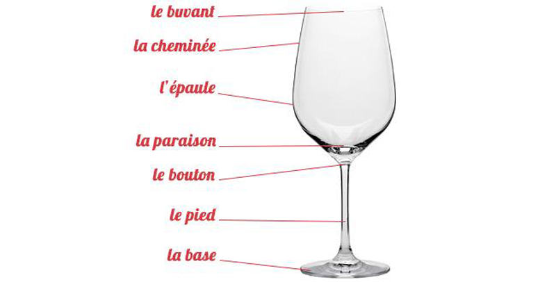 Quel verre à vin choisir pour déguster et apprécier son vin ?