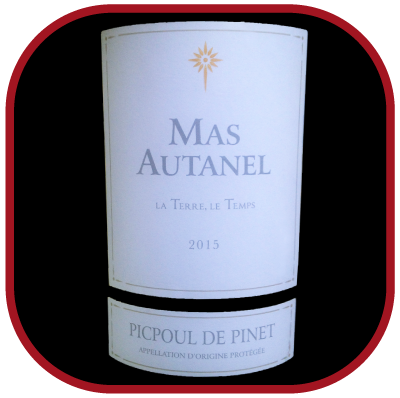 LA TERRE, LE TEMPS 2015 le Picpoul de Pinet du Mas Autanel pour notre blog sur le vin