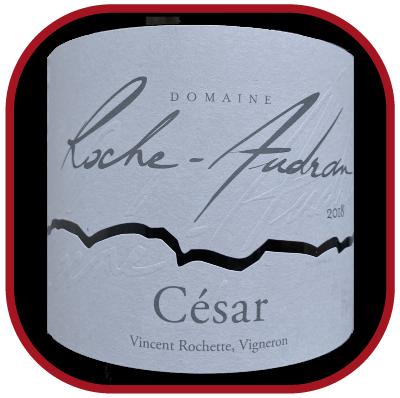 César 2018, le vin du domaine Roche Audran pour notre blog sur le vin