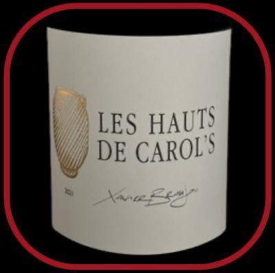 Les hauts de Carol's le vin du domaine La terrasse d'Elise pour notre blog sur le vin