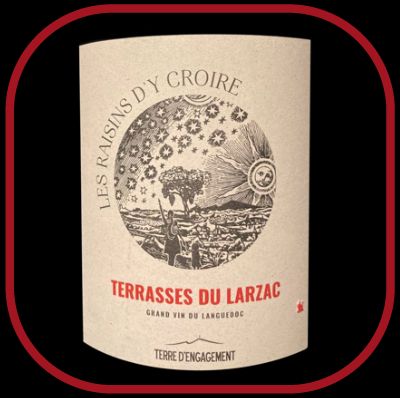 Les raisins d'y croire, le vin rouge de la Cave de Castelbarry pour notre blog sur le vin