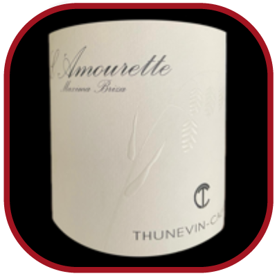 L'amourette 2025, le vin du domaine Thunevin Calvet pour notre blog sur le vin